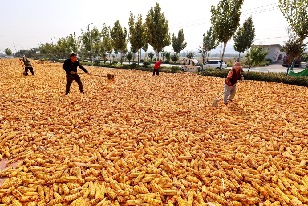 1702518678701390.jpg 004c76974bb84c5d85c04257b11ce64d10.jpg